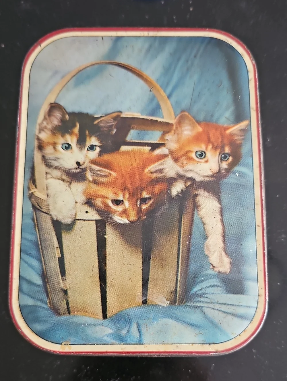Vintage Cat Photo Tin - Blue Background, Red Trim